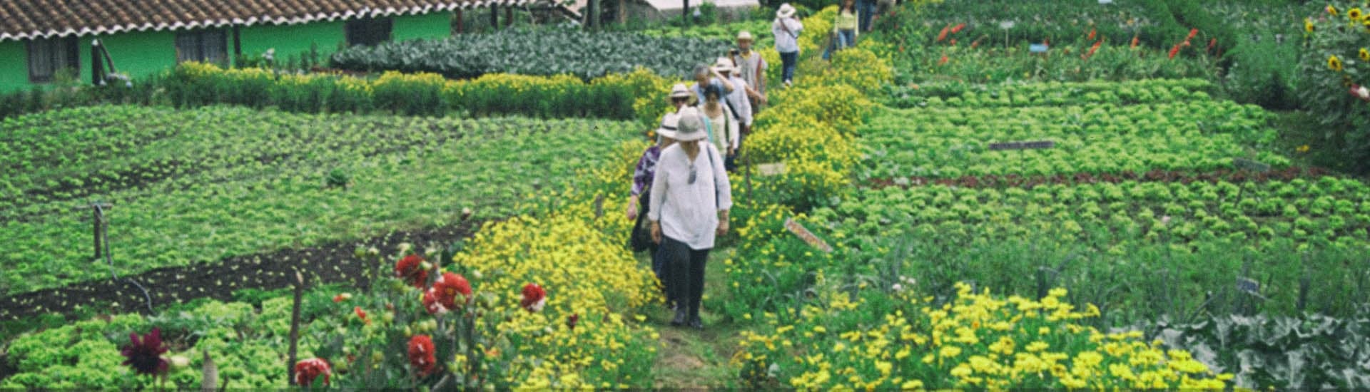 Santa Elena